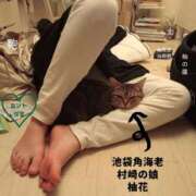 ヒメ日記 2025/10/27 12:04 投稿 村崎 池袋角海老