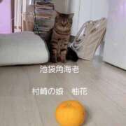 ヒメ日記 2025/12/22 14:03 投稿 村崎 池袋角海老