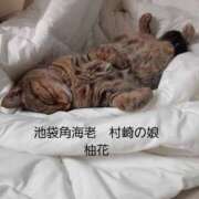 村崎 🈳️キャンセル発生！ 池袋角海老