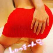 ヒメ日記 2025/11/28 10:17 投稿 ここは 横浜人妻ヒットパレード（シンデレラグループ）