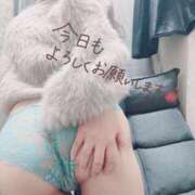 ヒメ日記 2026/02/16 08:42 投稿 ここは 横浜人妻ヒットパレード（シンデレラグループ）