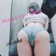 ヒメ日記 2026/02/22 09:09 投稿 ここは 横浜人妻ヒットパレード（シンデレラグループ）