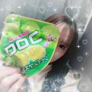 ヒメ日記 2026/03/14 10:43 投稿 ここは 横浜人妻ヒットパレード（シンデレラグループ）