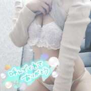 ヒメ日記 2026/03/21 14:15 投稿 ここは 横浜人妻ヒットパレード（シンデレラグループ）