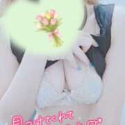 ヒメ日記 2026/10/13 09:38 投稿 ここは 横浜人妻ヒットパレード（シンデレラグループ）