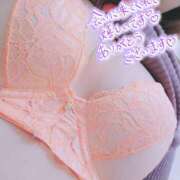 ヒメ日記 2025/01/28 12:00 投稿 芹沢ここは 大人めシンデレラ 新横浜店（シンデレラグループ）