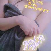 ヒメ日記 2025/02/13 19:12 投稿 芹沢ここは 大人めシンデレラ 新横浜店（シンデレラグループ）