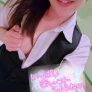 ヒメ日記 2025/03/12 09:26 投稿 芹沢ここは 大人めシンデレラ 新横浜店（シンデレラグループ）