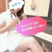 ヒメ日記 2025/05/16 08:46 投稿 芹沢ここは 大人めシンデレラ 新横浜店（シンデレラグループ）