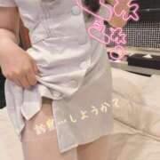 ヒメ日記 2025/05/17 09:00 投稿 芹沢ここは 大人めシンデレラ 新横浜店（シンデレラグループ）