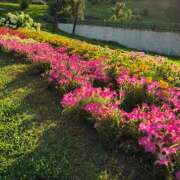 ヒメ日記 2025/06/28 18:34 投稿 芹沢ここは 大人めシンデレラ 新横浜店（シンデレラグループ）