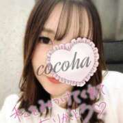 ヒメ日記 2025/08/15 23:13 投稿 芹沢ここは 大人めシンデレラ 新横浜店（シンデレラグループ）