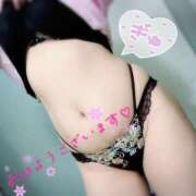 ヒメ日記 2025/10/02 09:09 投稿 芹沢ここは 大人めシンデレラ 新横浜店（シンデレラグループ）