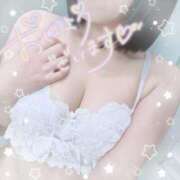 ヒメ日記 2026/02/17 08:40 投稿 芹沢ここは 大人めシンデレラ 新横浜店（シンデレラグループ）