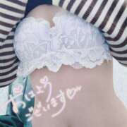 ヒメ日記 2026/02/21 09:13 投稿 芹沢ここは 大人めシンデレラ 新横浜店（シンデレラグループ）