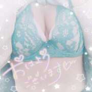 ヒメ日記 2026/02/27 10:24 投稿 芹沢ここは 大人めシンデレラ 新横浜店（シンデレラグループ）