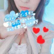 ヒメ日記 2026/03/12 08:52 投稿 芹沢ここは 大人めシンデレラ 新横浜店（シンデレラグループ）