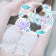 ヒメ日記 2026/03/18 12:53 投稿 芹沢ここは 大人めシンデレラ 新横浜店（シンデレラグループ）