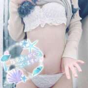 ヒメ日記 2026/03/21 14:12 投稿 芹沢ここは 大人めシンデレラ 新横浜店（シンデレラグループ）