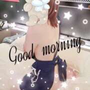 ヒメ日記 2026/06/19 08:26 投稿 芹沢ここは 大人めシンデレラ 新横浜店（シンデレラグループ）