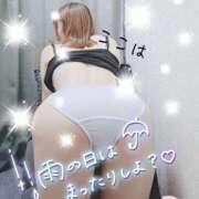 ヒメ日記 2026/09/11 09:17 投稿 芹沢ここは 大人めシンデレラ 新横浜店（シンデレラグループ）