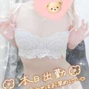 ヒメ日記 2026/10/29 09:12 投稿 芹沢ここは 大人めシンデレラ 新横浜店（シンデレラグループ）