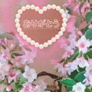 ヒメ日記 2025/03/02 18:09 投稿 大月 ひかり 一夜妻　大阪ミナミ店