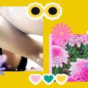 ヒメ日記 2025/04/08 00:29 投稿 大月 ひかり 一夜妻　大阪ミナミ店