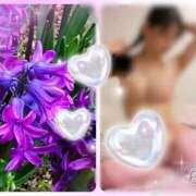 ヒメ日記 2025/04/10 07:09 投稿 大月 ひかり 一夜妻　大阪ミナミ店