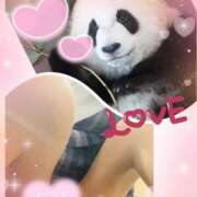 ヒメ日記 2025/05/10 21:04 投稿 大月 ひかり 一夜妻　大阪ミナミ店