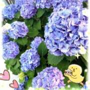 ヒメ日記 2025/06/19 22:04 投稿 大月 ひかり 一夜妻　大阪ミナミ店