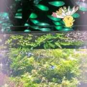 ヒメ日記 2025/06/20 22:04 投稿 大月 ひかり 一夜妻　大阪ミナミ店