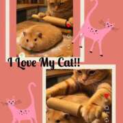 ヒメ日記 2025/10/25 19:34 投稿 大月 ひかり 一夜妻　大阪ミナミ店