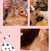 ヒメ日記 2025/12/28 10:24 投稿 大月 ひかり 一夜妻　大阪ミナミ店