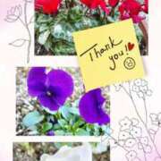 ヒメ日記 2026/01/01 09:04 投稿 大月 ひかり 一夜妻　大阪ミナミ店