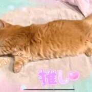 ヒメ日記 2026/01/30 08:24 投稿 大月 ひかり 一夜妻　大阪ミナミ店