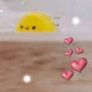 ヒメ日記 2026/02/11 14:54 投稿 大月 ひかり 一夜妻　大阪ミナミ店