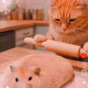 ヒメ日記 2026/03/06 19:34 投稿 大月 ひかり 一夜妻　大阪ミナミ店