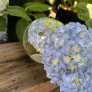 ヒメ日記 2025/06/16 06:24 投稿 芹沢 まいか 一夜妻　大阪ミナミ店