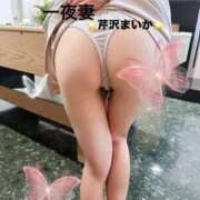 ヒメ日記 2025/07/13 18:04 投稿 芹沢 まいか 一夜妻　大阪ミナミ店