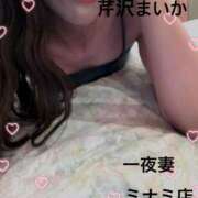 ヒメ日記 2025/07/29 18:05 投稿 芹沢 まいか 一夜妻　大阪ミナミ店
