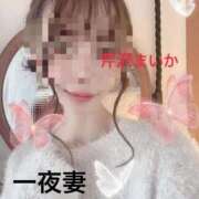 芹沢 まいか 12.13日はアリスの日❤️ 一夜妻　大阪ミナミ店