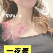 ヒメ日記 2026/01/27 02:34 投稿 芹沢 まいか 一夜妻　大阪ミナミ店