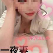 ヒメ日記 2026/04/02 11:14 投稿 芹沢 まいか 一夜妻　大阪ミナミ店