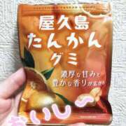 ヒメ日記 2026/02/01 11:43 投稿 芹沢ここは エステdeシンデレラ横浜（シンデレラグループ）