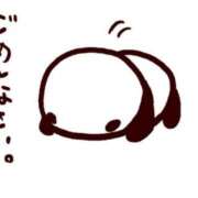 ヒメ日記 2026/02/19 08:51 投稿 芹沢ここは エステdeシンデレラ横浜（シンデレラグループ）