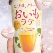 古賀 本日も ANECOTE