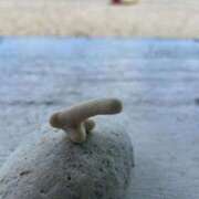 ヒメ日記 2025/08/21 19:27 投稿 らいと 新宿スピン