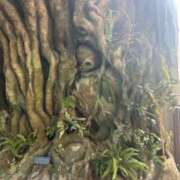 ヒメ日記 2025/09/10 18:27 投稿 らいと 新宿スピン