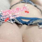 ヒメ日記 2024/12/18 11:05 投稿 せな 東京リップ 秋葉原店